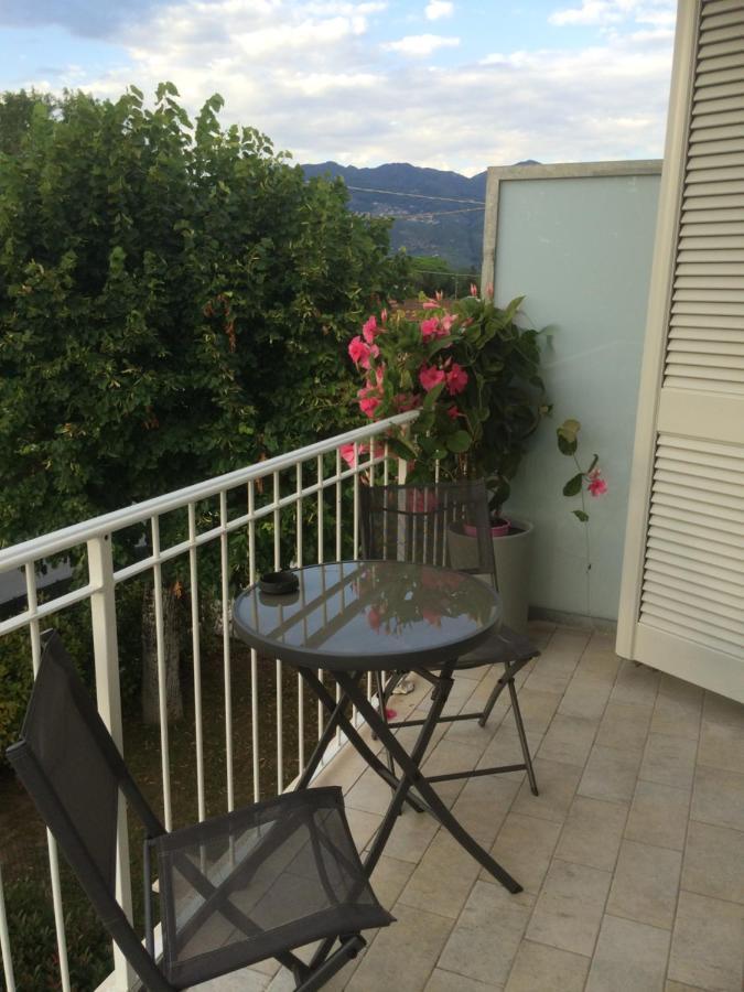 La Brise Hotel Marina di Pietrasanta Kültér fotó